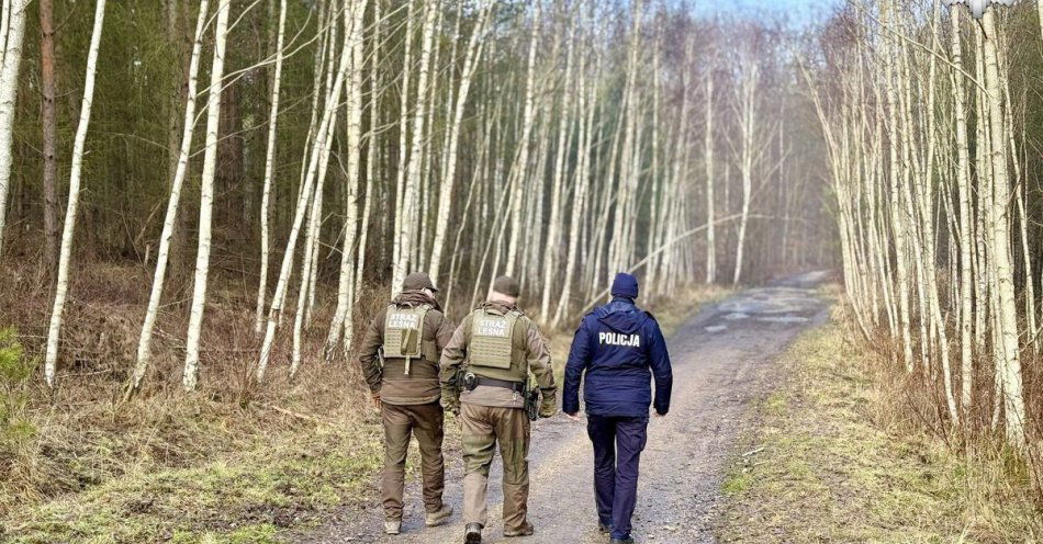 zdjęcie: Pilne kontrole lasów w Mysłowicach przed świętami / fot. KMP w Mysłowicach