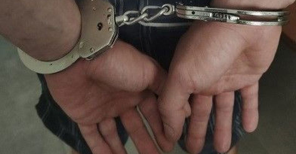 zdjęcie: Odpowie za kradzież z włamaniem / fot. KPP w Pułtusku