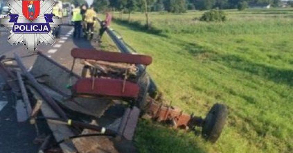 zdjęcie: Kolizja z udziałem pojazdu konnego i osobówki / fot. KMP Zamość