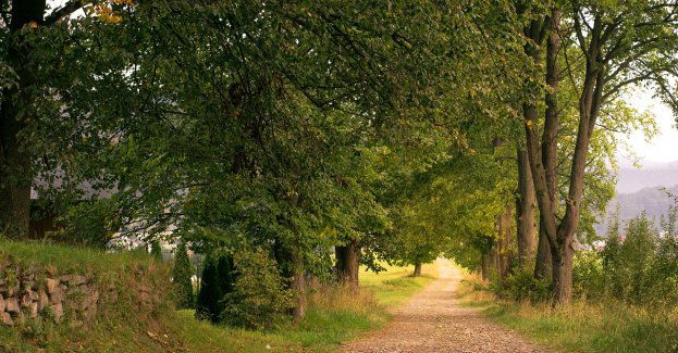 Niedziela ciepła i pogodna