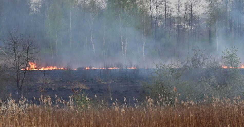 zdjęcie: W sobotę ponad tysiąc pożarów traw w całym kraju, dwie osoby ranne / fot. PAP