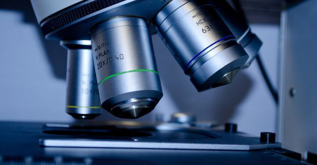 Zakaz wstępu do Rezerwatu Łężczok i na Polder Buków z powodu ptasiej grypy