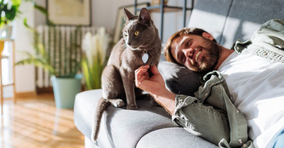 zdjęcie: Dzień Kota: 5 faktów o kotach, które mogą cię zaskoczyć / fot/newseria