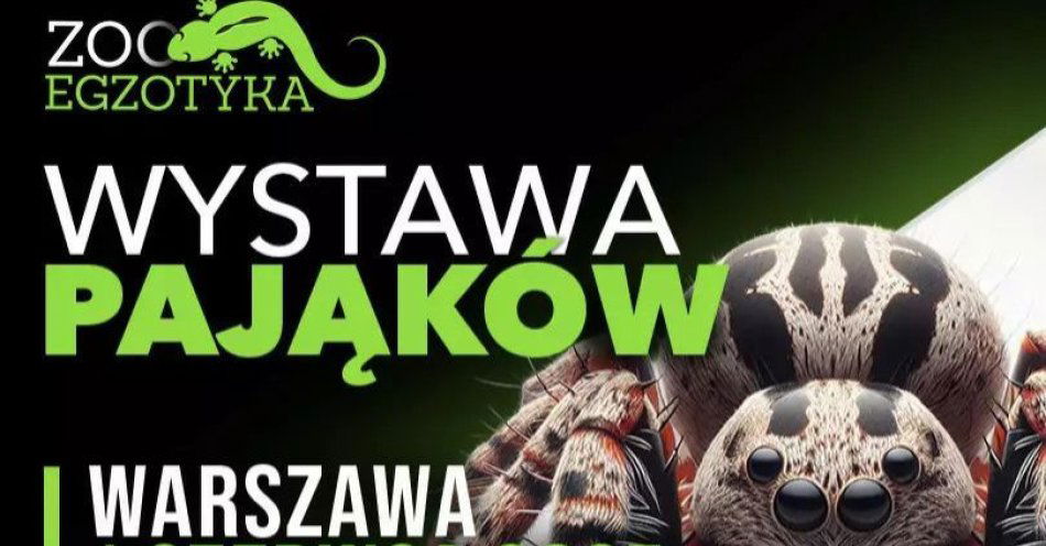 zdjęcie: Wystawa pająków / kupbilecik24.pl / Wystawa pająków