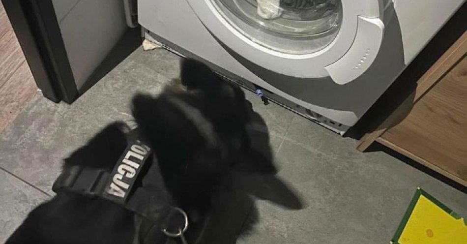 zdjęcie: Areszt za uszkodzenie aut groźby i znaczne ilości narkotyków / fot. KPP Inowrocław