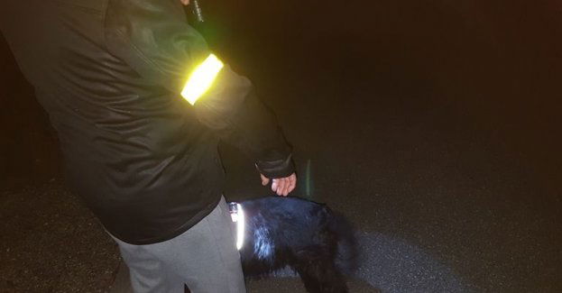 Używajmy elementów odblaskowych i nie lekceważmy obowiązku poruszania się lewą stroną drogi