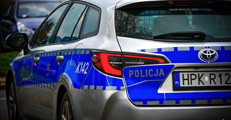 zdjęcie: Ponad 1000 kontroli w akcji Trzeźwość dwóch pijanych rowerzystów / fot. KPP w Stalowej Woli
