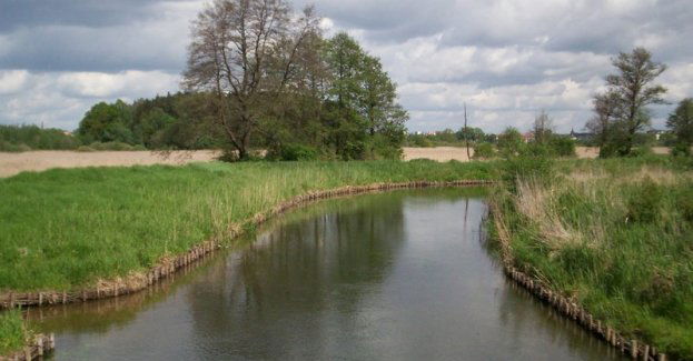 Dzień Łyny / Rzeka Skarbów