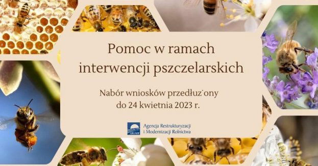 ARiMR: Trzy interwencje pszczelarskie – nabór wniosków przedłużony do 24 kwietnia 2023 r.