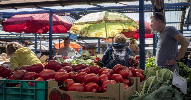 Tylko 14 proc. ankietowanych obawia się dalszego wzrostu cen