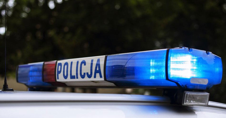 zdjęcie: Wczoraj popołudniu w miejscowości Boguszów-Gorce sześciolatek wybiegł wprost pod samochód / pixabay/4261182