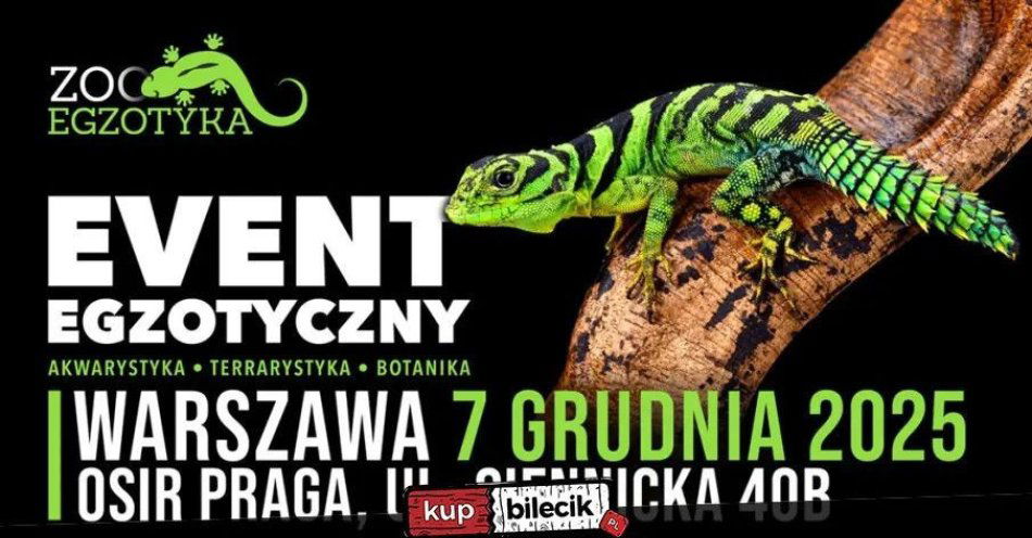 zdjęcie: ZooEgzotyka Warszawa / kupbilecik24.pl / ZooEgzotyka Warszawa