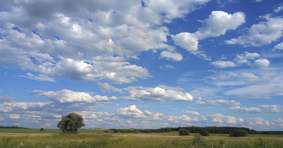 zdjęcie: Tegoroczne lato w Polsce było normalne; zmiany klimatu zaczęły przyzwyczajać nas do wyższych temperatur / x40859041