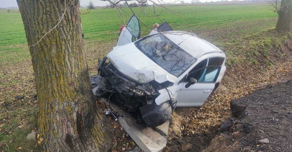zdjęcie: Ford Kuga uderzył w drzewo w Sucharzewie. Kierująca w szpitalu / fot. KPP Mogilno