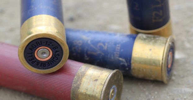 25-latek strzelał do psa, potem do jego właściciela