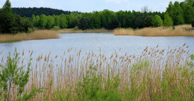 Mundurowi ustalili sprawcę rozlewiska w Sępólnie Krajeńskim