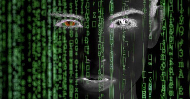 Zamówiona kosa spalinowa mimo wpłaty nie dotarła do kupującego