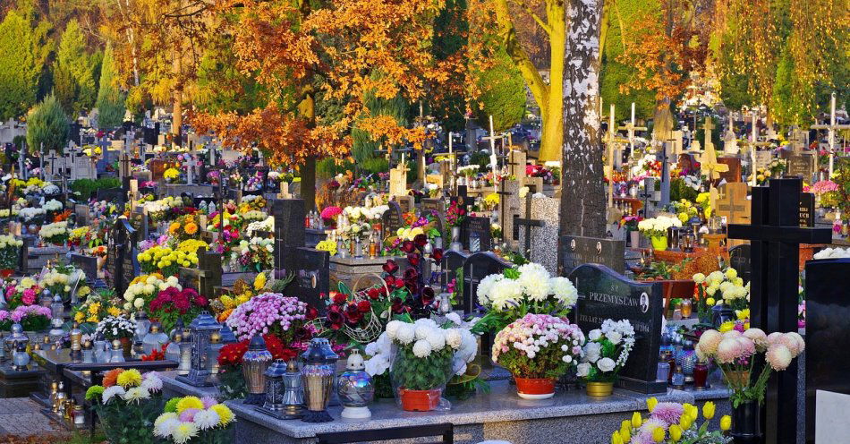 zdjęcie: Myśliborscy policjanci gotowi do Działań Wszystkich Świętych / pixabay/3853469
