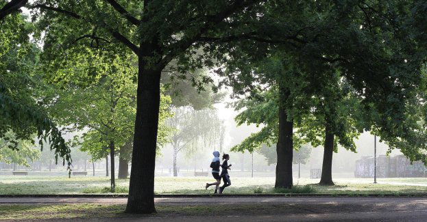 Park Kościuszki przejdzie rewitalizację