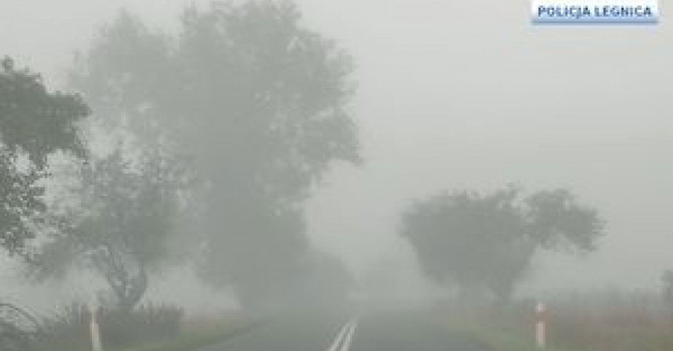 zdjęcie: Poranne mgły! kierowco i pieszy uważaj na drodze / fot. KMP w Legnicy