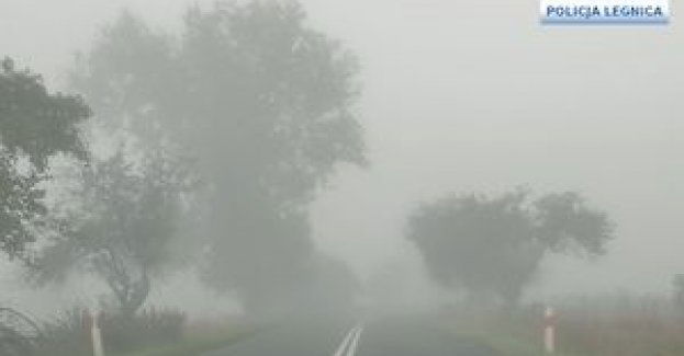 Poranne mgły! kierowco i pieszy uważaj na drodze