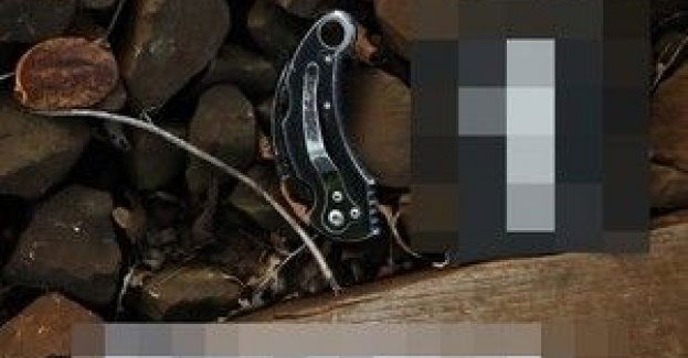 Dwóch mieszkańców Legnicy usłyszało zarzut kradzieży infrastruktury drogowej