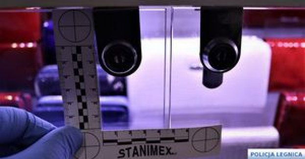 Dzięki doskonałemu rozpoznaniu legnickich policjantów, kolejny złodziej w areszcie