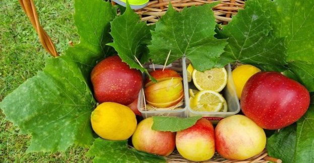 Jabłko czy cytryna w Skrzyńsku