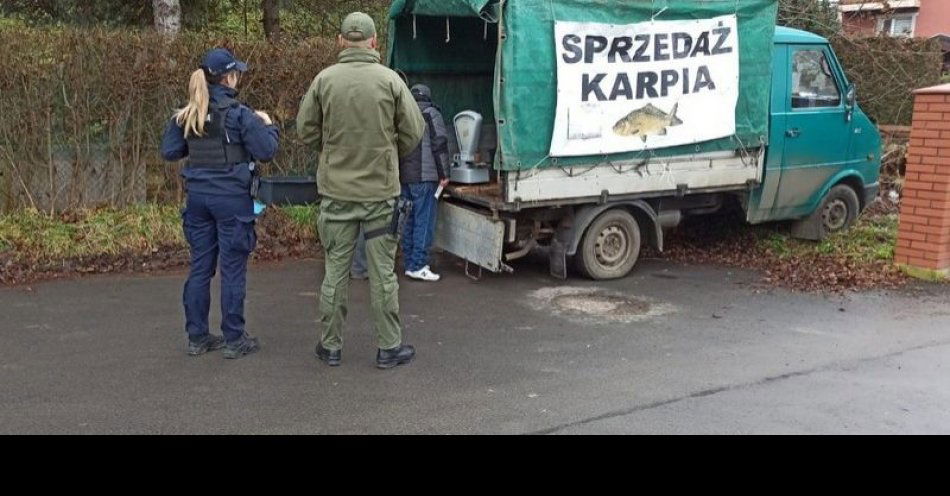zdjęcie: Kontrole sprzedaży karpi w Krośnie przed świętami / fot. KMP w Krośnie