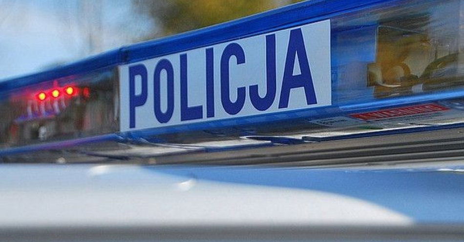 zdjęcie: 34-latek z Indii przyłapany na fałszywym prawie jazdy / fot. KPP w Jaśle