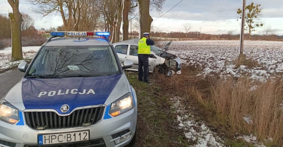 zdjęcie: Niebezpieczne zdarzenie w Czaplach / fot. KPP w Świeciu