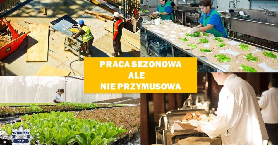 zdjęcie: Praca sezonowa, ale nie przymusowa / fot. KPP w Środzie Śląskiej