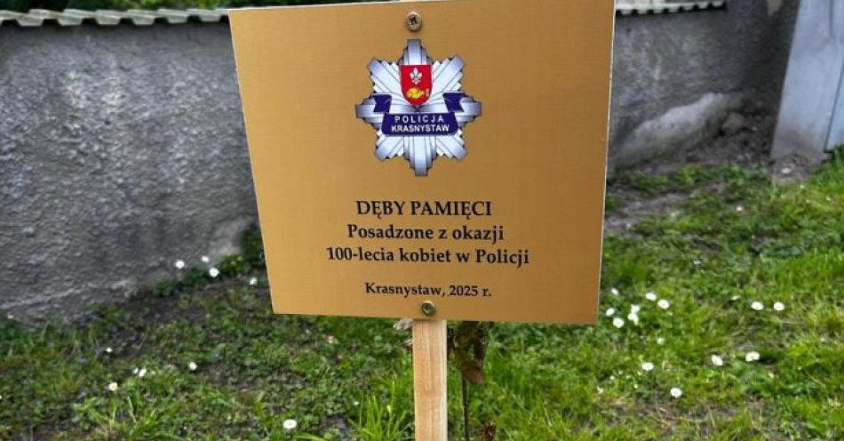 zdjęcie: 10 dębów na 100-lecie kobiet w Policji / fot. KPP Krasnystaw