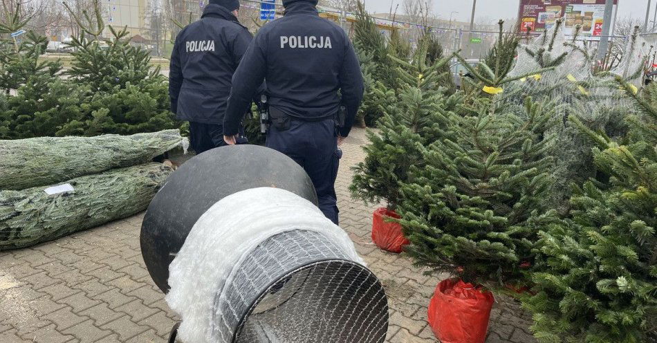 zdjęcie: Łomża policja walczy z nielegalną wycinką choinek / fot. KMP Łomża