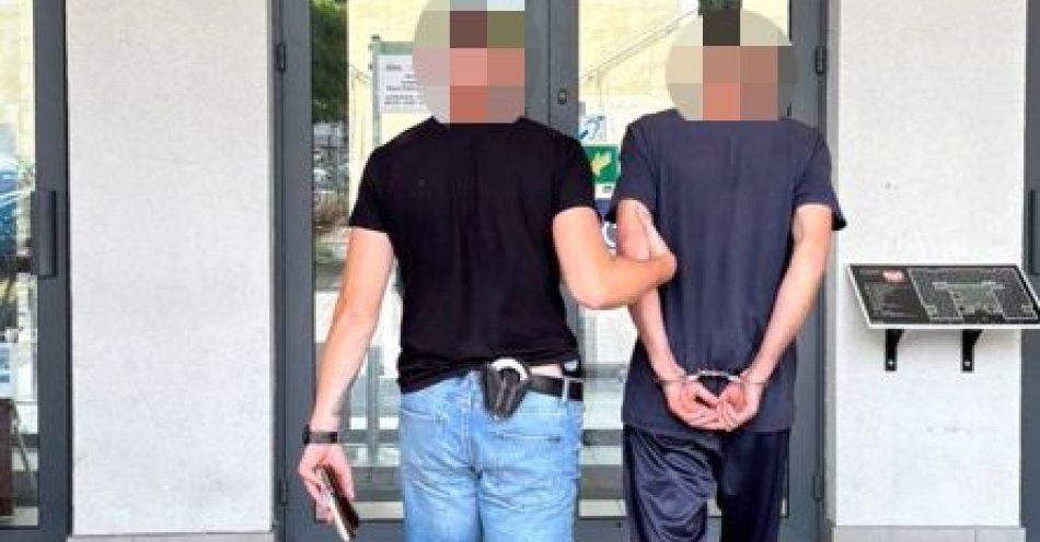 zdjęcie: Kierujący na zakazie usłyszał wyrok w trybie przyspieszonym / fot. KPP w Grójcu