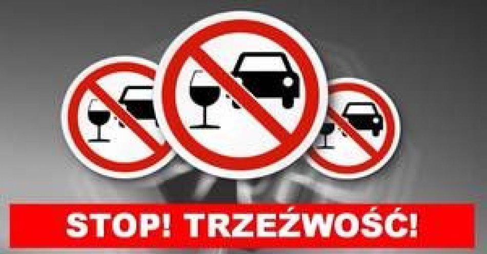 zdjęcie: Kierował autem, mając ponad 2,7 promila alkoholu w organizmie, został zatrzymany przez małkińskich policjantów / fot. KPP w Ostrowi Mazowieckiej