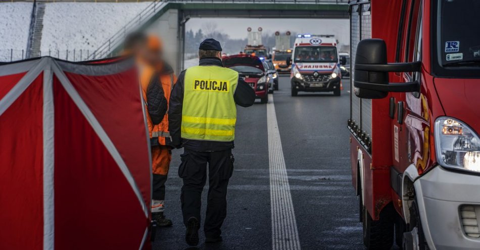 zdjęcie: Śmiertelne potrącenie na trasie s-7 w miejscowości stare babki. / fot. KPP w Nowym Dworze Gdańskim