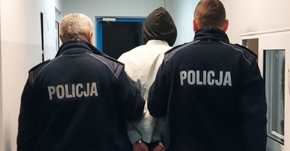 zdjęcie: Policjanci zatrzymali 4 mężczyzn z zakazanymi środkami / fot. KPP w Bełchatowie
