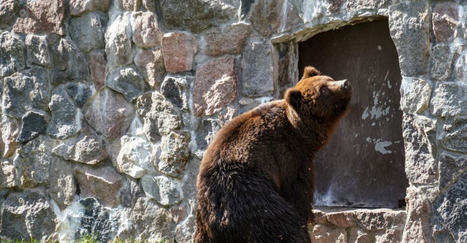 zdjęcie: Chip i Dale zamieszkali w Białymstoku / fot. nadesłane