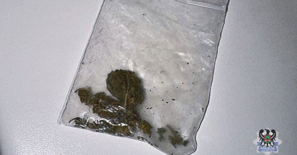 zdjęcie: Siedemnastolatek zatrzymany z marihuaną na Bogusławskiego / fot. KMP w Wałbrzychu