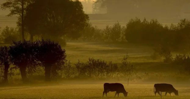 Najbliższe dwa dni z silnymi zamgleniami i temperaturą do 26 st. C