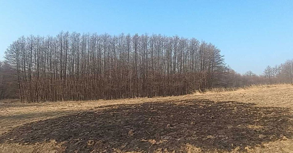 zdjęcie: Brzozów: policja przypomina że wypalanie traw jest zabronione / fot. KPP w Brzozowie Fot. KPP Brzozów