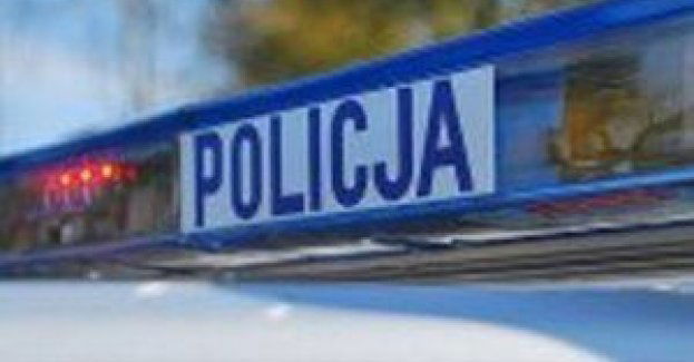 Cyrkowy królik powrócił do swoich właścicieli