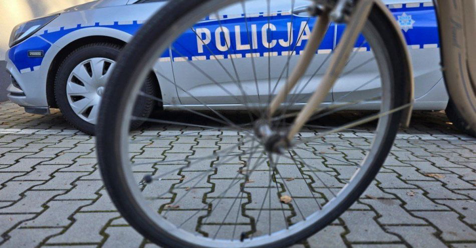 zdjęcie: W Woli zatrzymano rowerzystę z ponad 3,5 promila / fot. KPP w Pszczynie