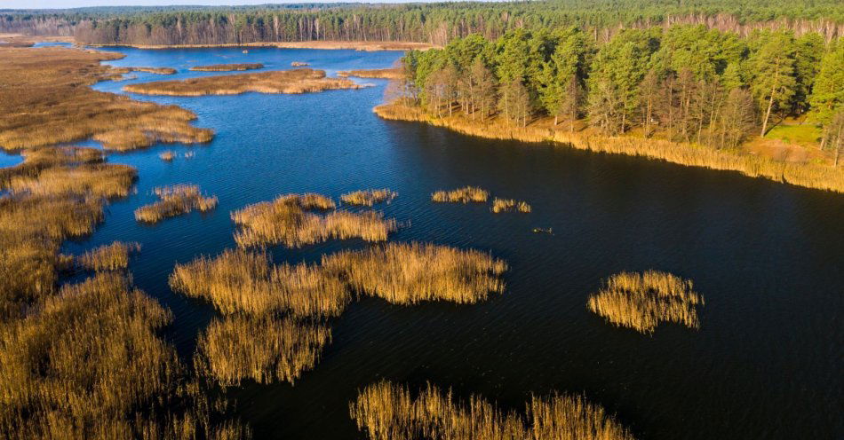 zdjęcie: W grudniu w Polsce powstaną 53 nowe rezerwaty przyrody / v50654270