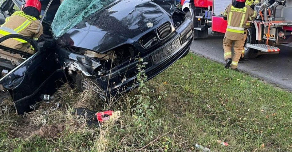 zdjęcie: Tragiczny wypadek w Zalesiu. 23-latek zginął / fot. KPP Ryki