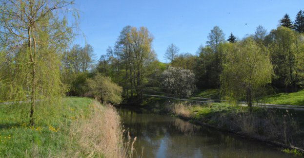 Będzie koszenie dna Łyny