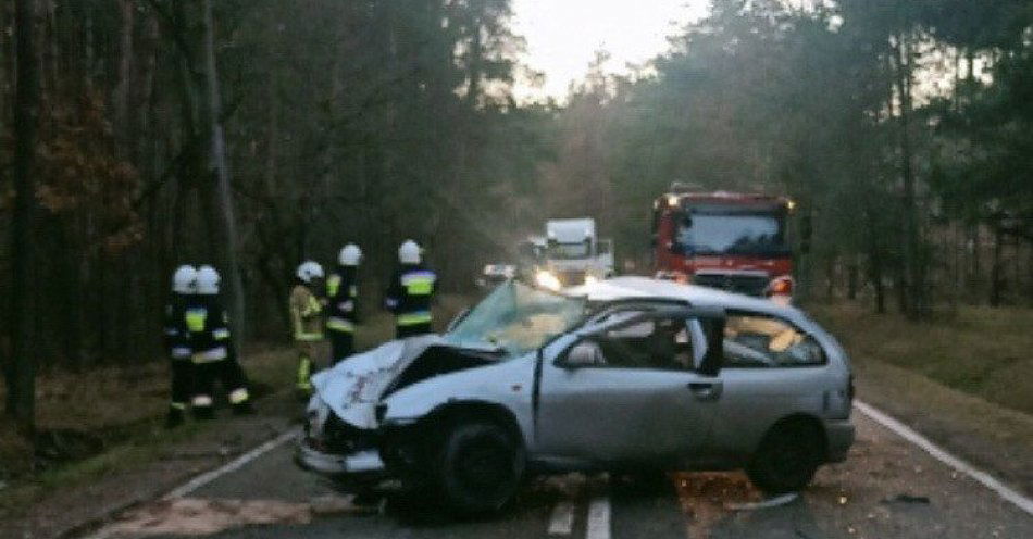 zdjęcie: Niemal 3 promile alkohol miał kierowca, który spowodował wypadek w Maciejowicach / fot. KPP w Kozienicach