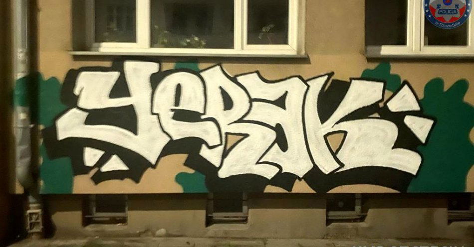 zdjęcie: Nieletni nakryci na malowaniu graffiti –zatrzymani przez szczecińskich policjantów / fot. KMP w Szczecinie