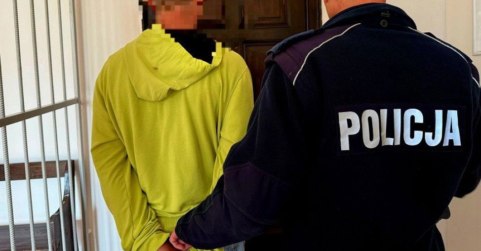 zdjęcie: Areszt dla 33-letniego sprawcy przemocy domowej / fot. KPP w Jaworze